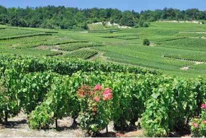 Tourist Attractions in France