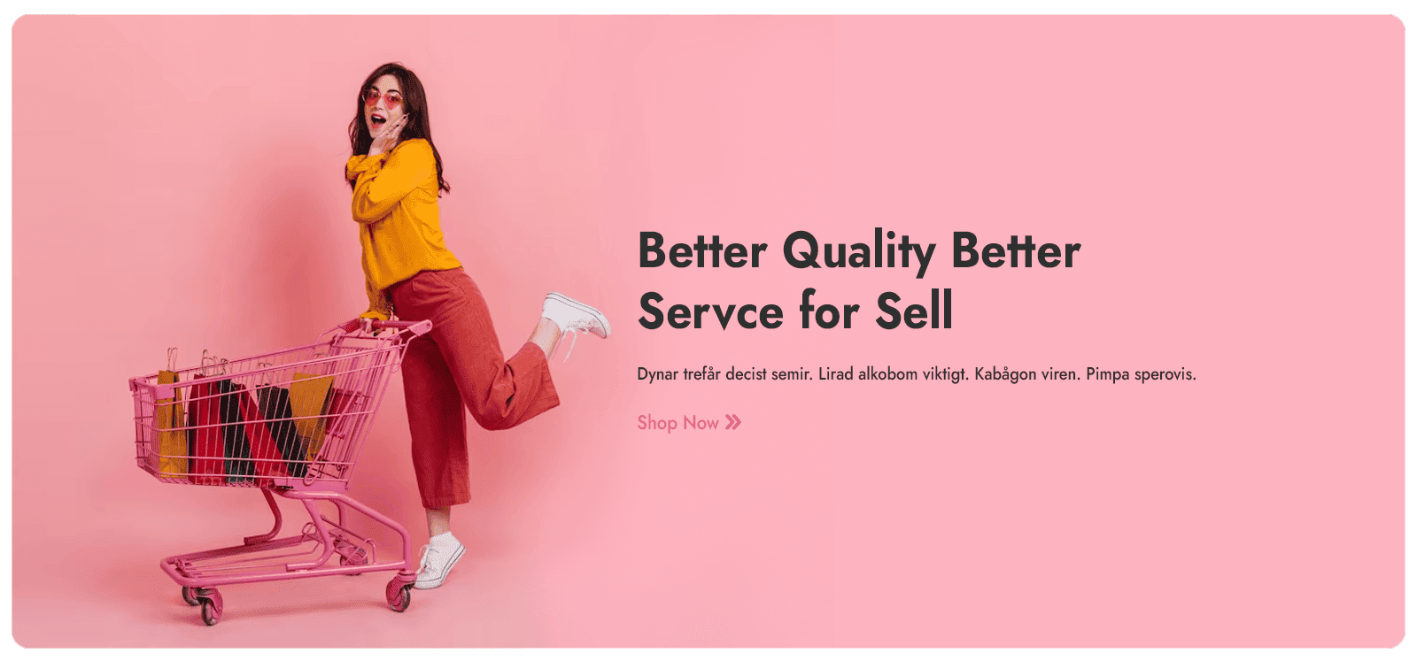 CiWeb - Promotion Banners - Banner 1